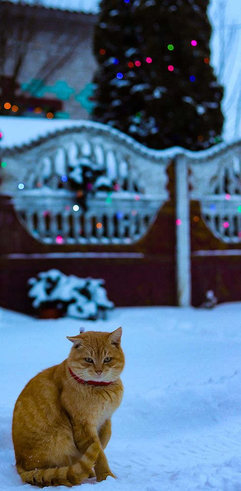 Photograph by Руслана Ковалевская