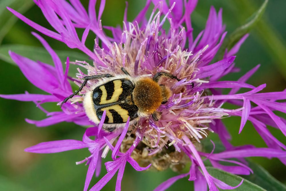 Photograph by Evgenia Sevryukova