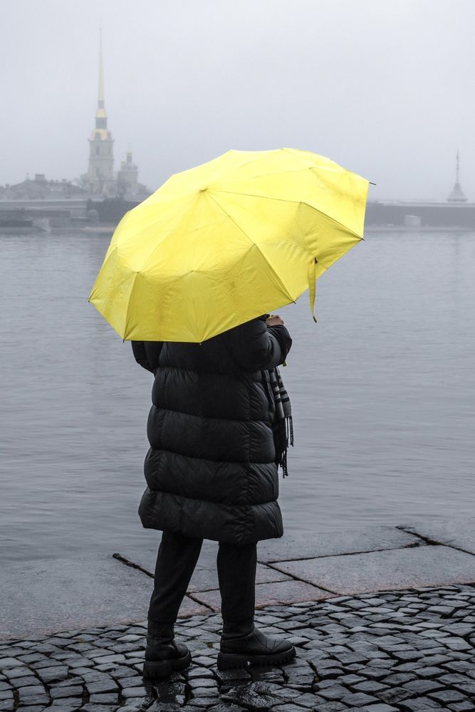 Photo #13369024