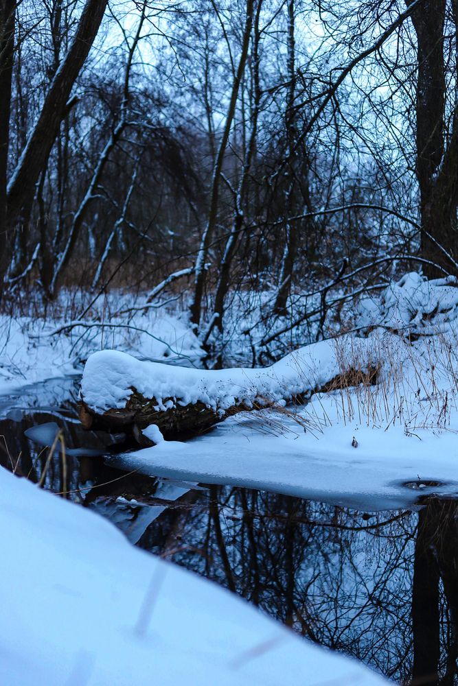 Photograph by Руслана Ковалевская