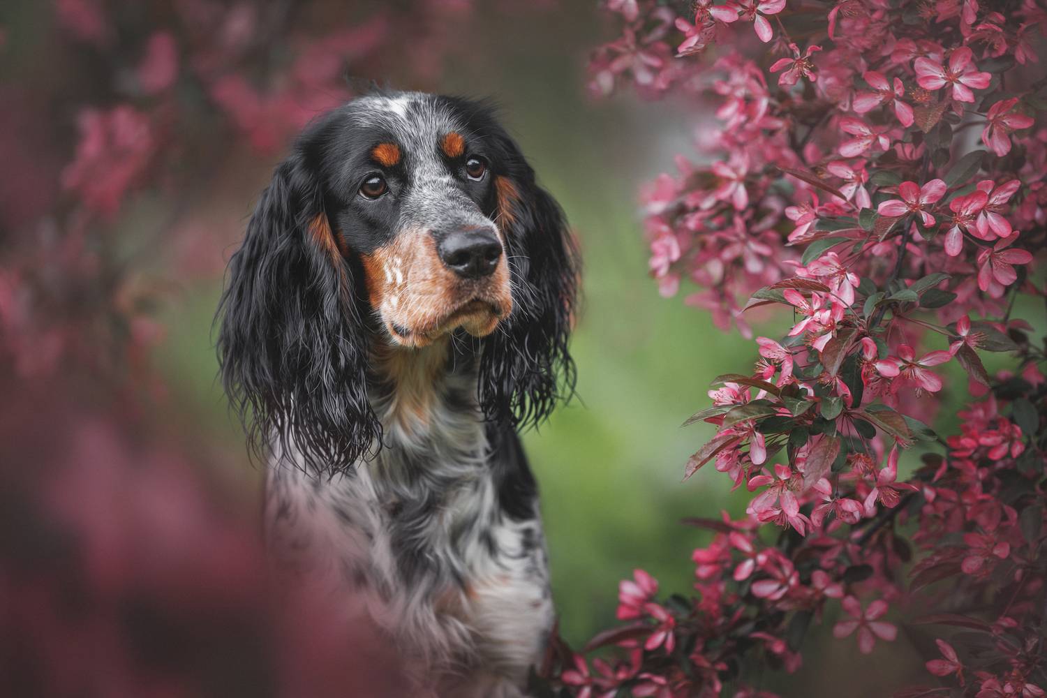 Фотография #13369096