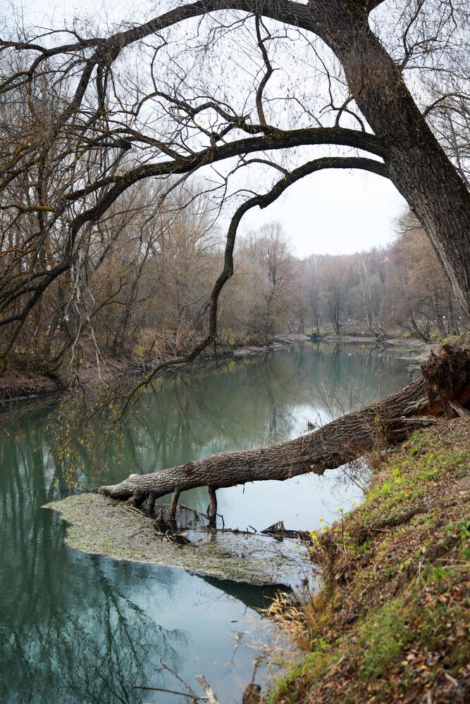 Photograph by Светлана Кавказская