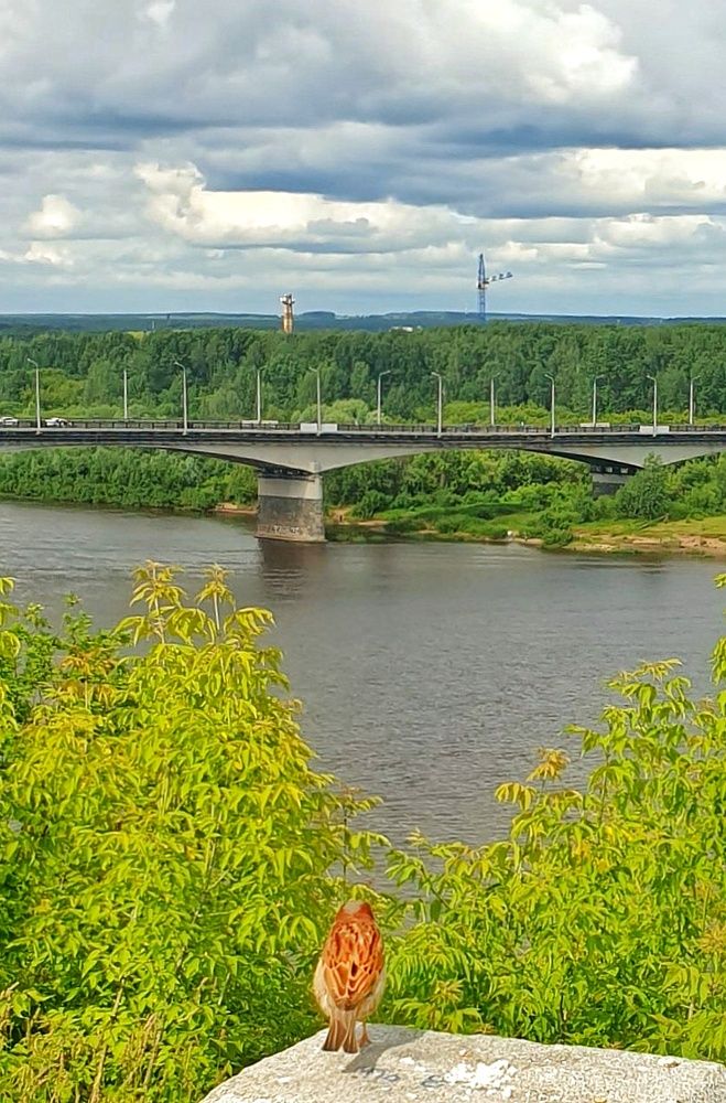 Photograph by Дмитрий Сорокин