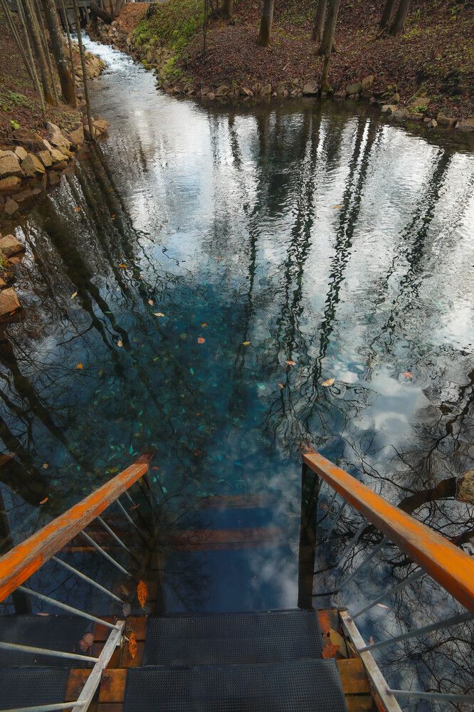 Photograph by Светлана Кавказская