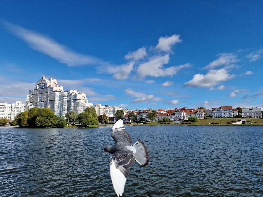 Photograph by Александр Залуцкий