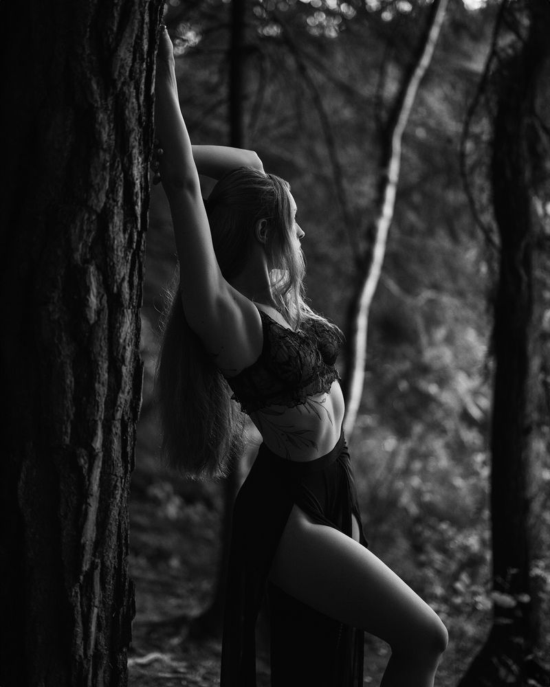 Фотография автора Masoit Tomas