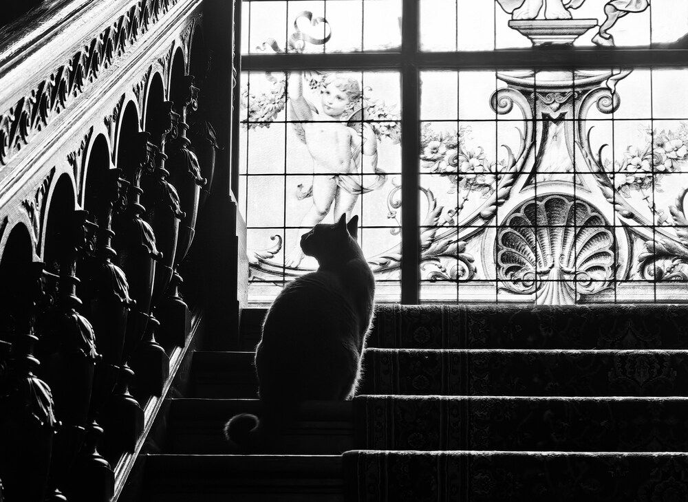 Photograph by Илья Гунбин