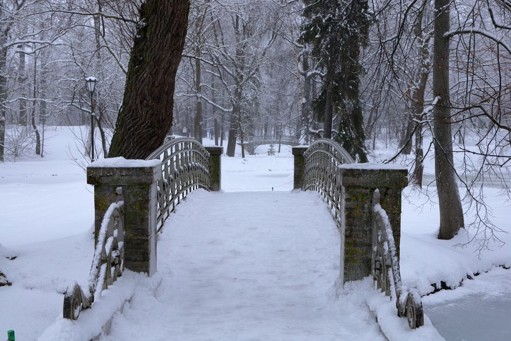 Photograph by Serge Halapin