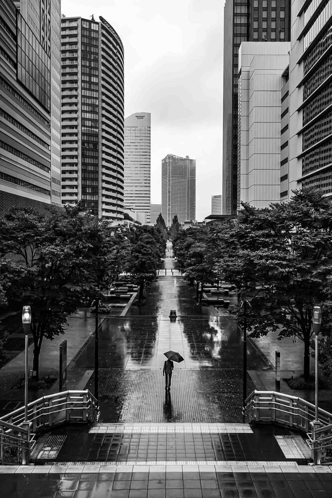 Solitary Rain