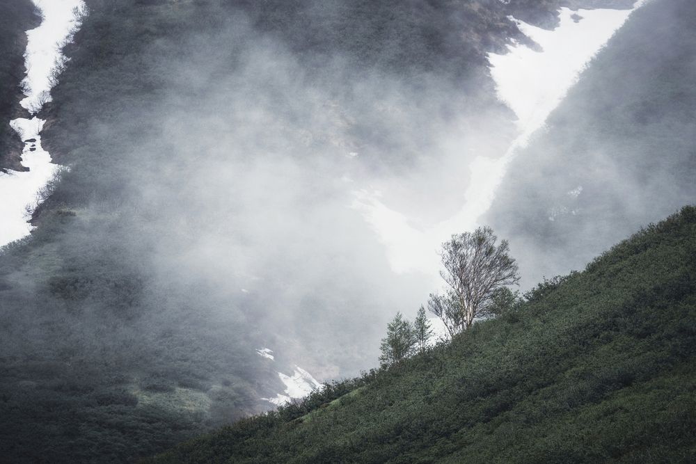 Photograph by Света Трифоненкова