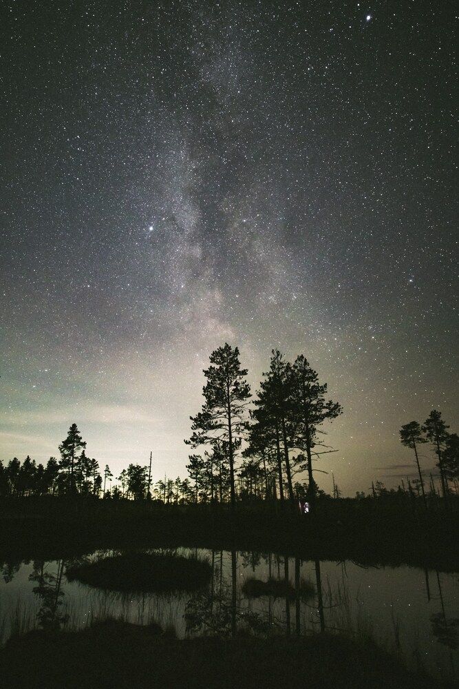 Photograph by Ольга Леонова
