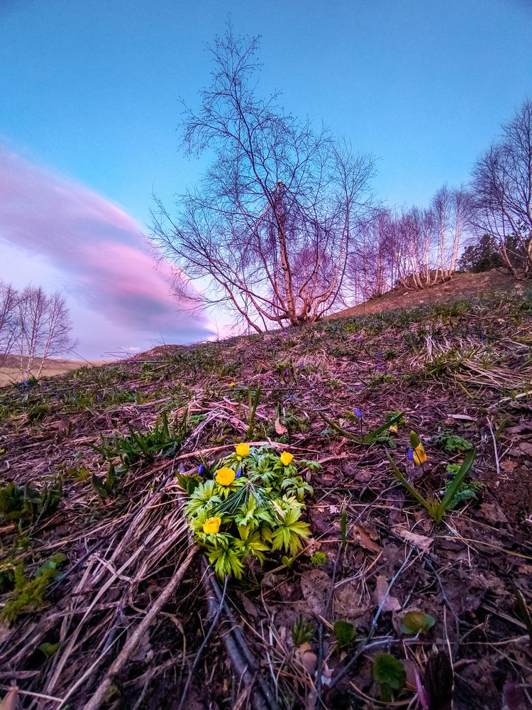 Photograph by Григорова Мария