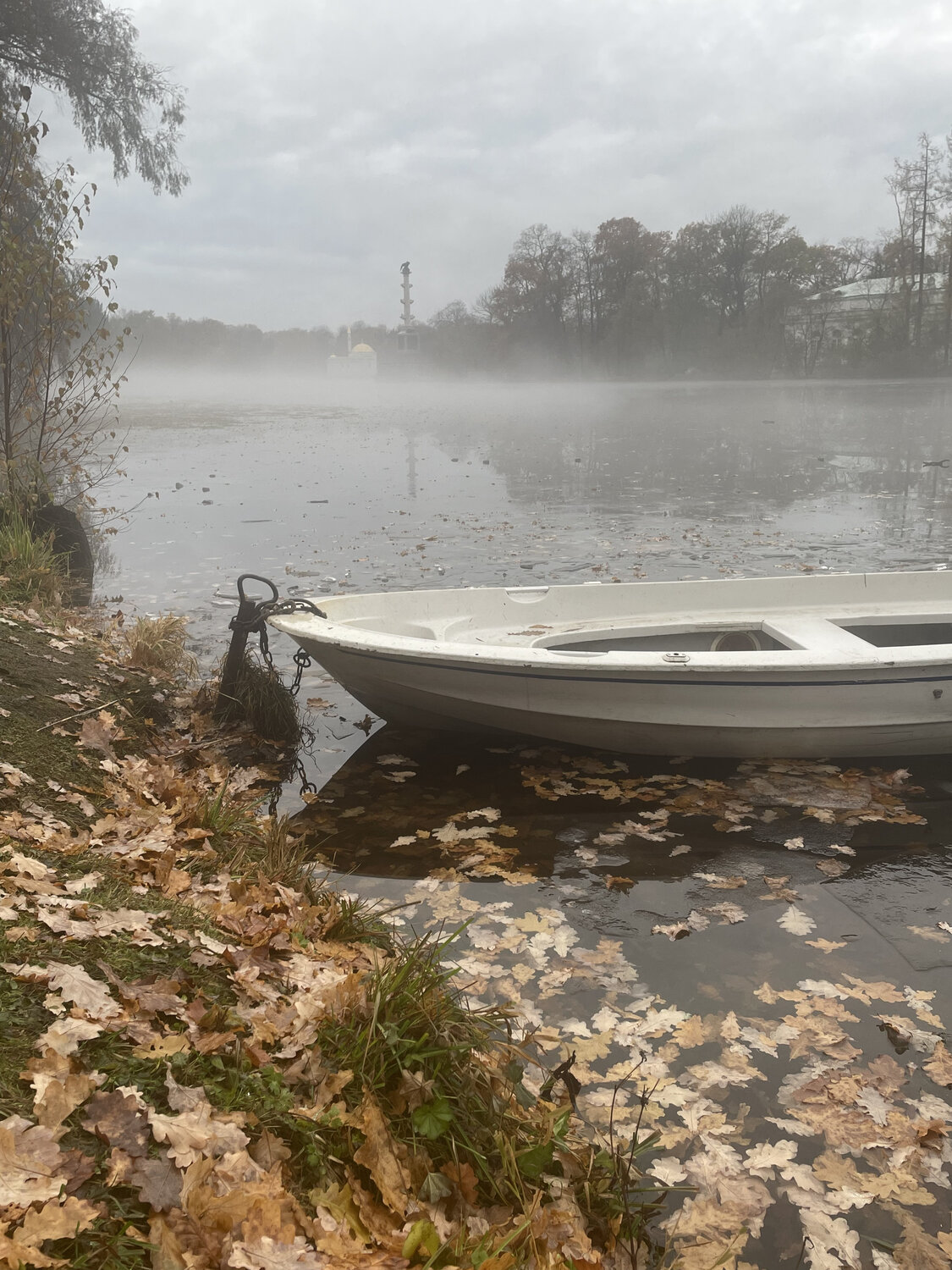 Photo #13369419