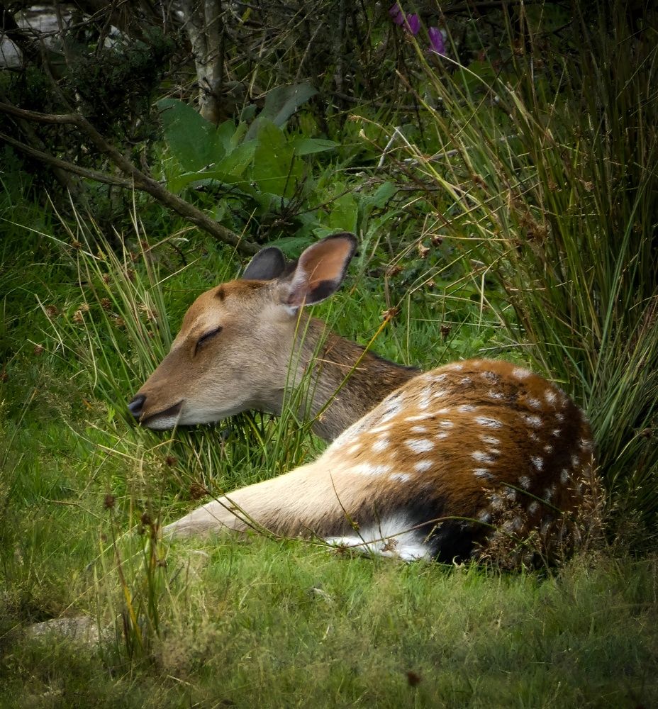 Photograph by Michael Gault