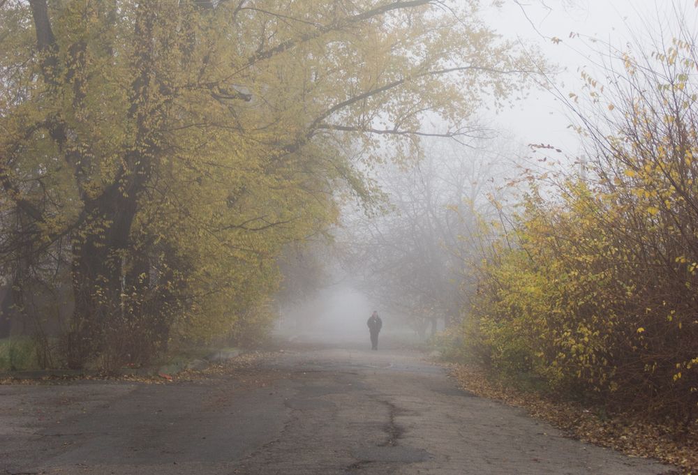 Photograph by Алла Антонова