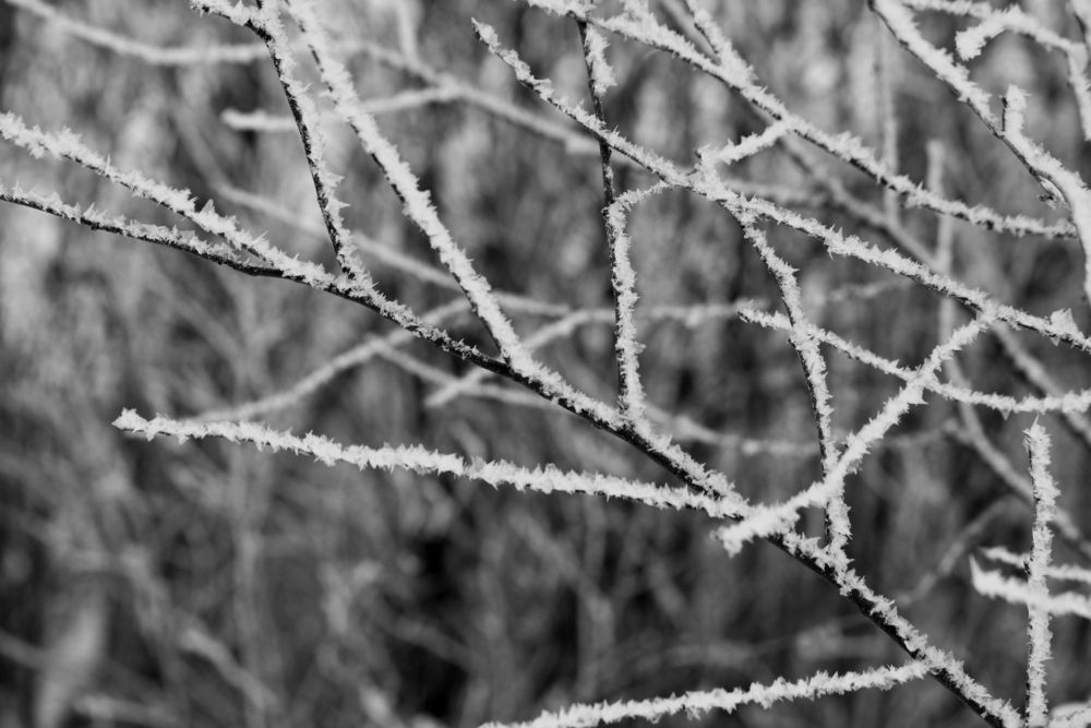 Photograph by Полина Зайцева