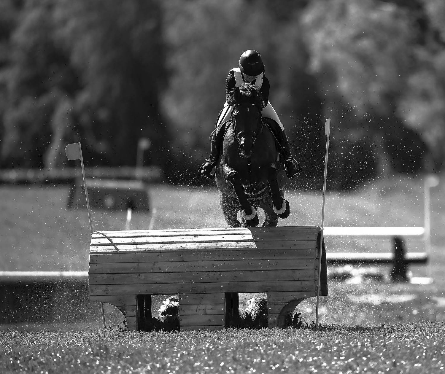 В гонке за победой