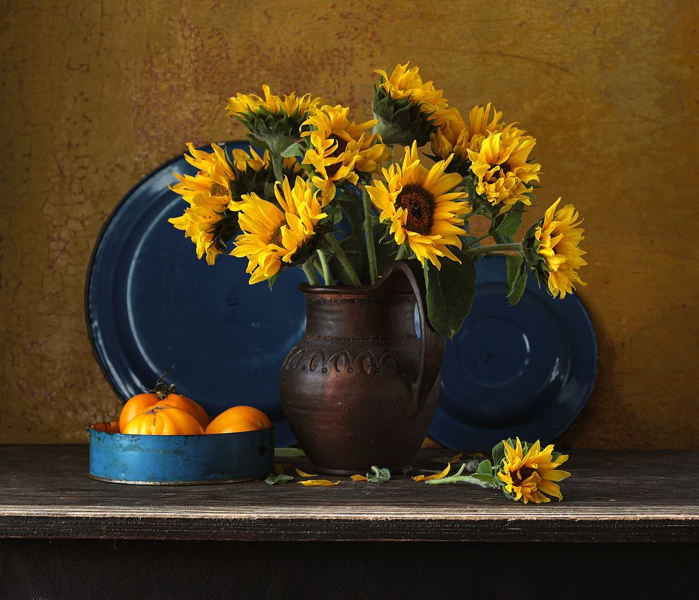 Фотография #13369654