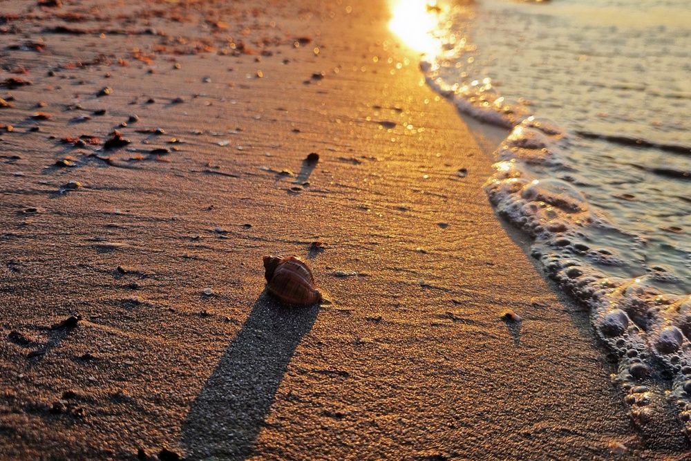 Photograph by Нели Арнаудова