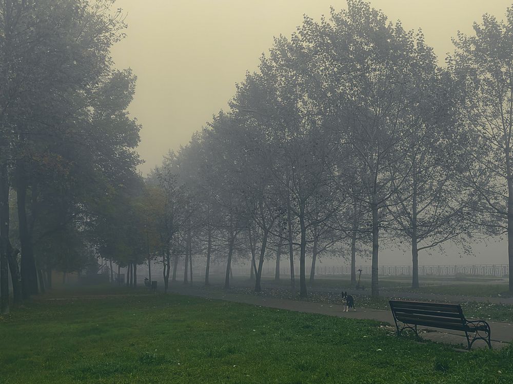 Photograph by Екатерина Смирнова