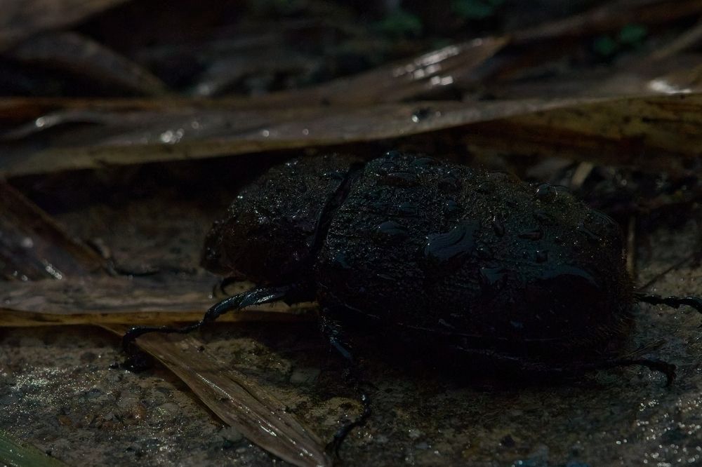 Photograph by Jerome Foster