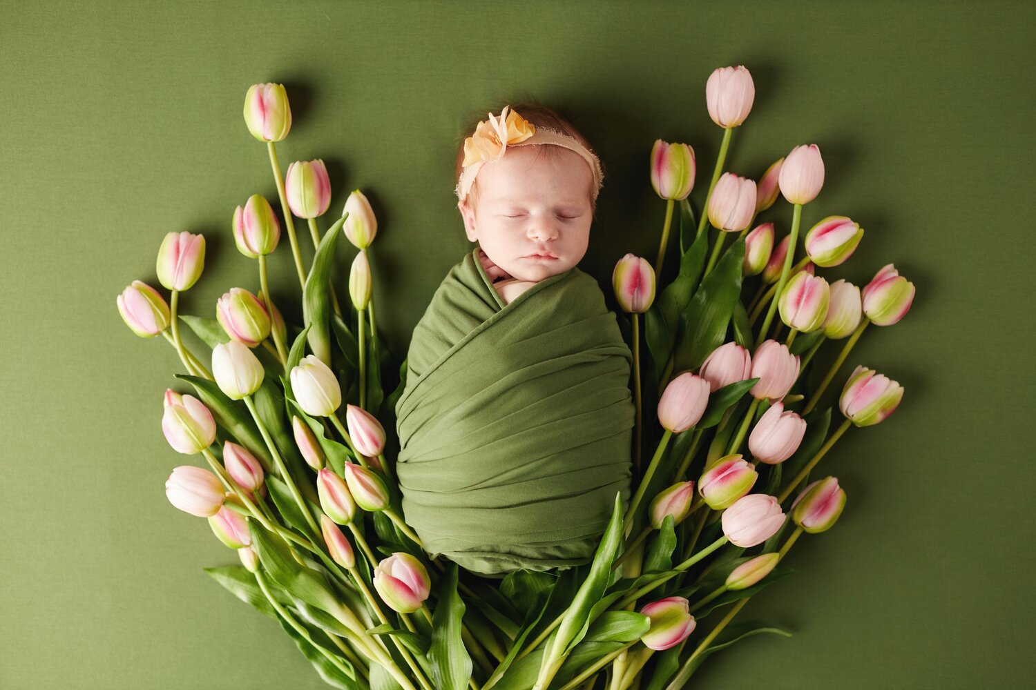 Photo #13369849