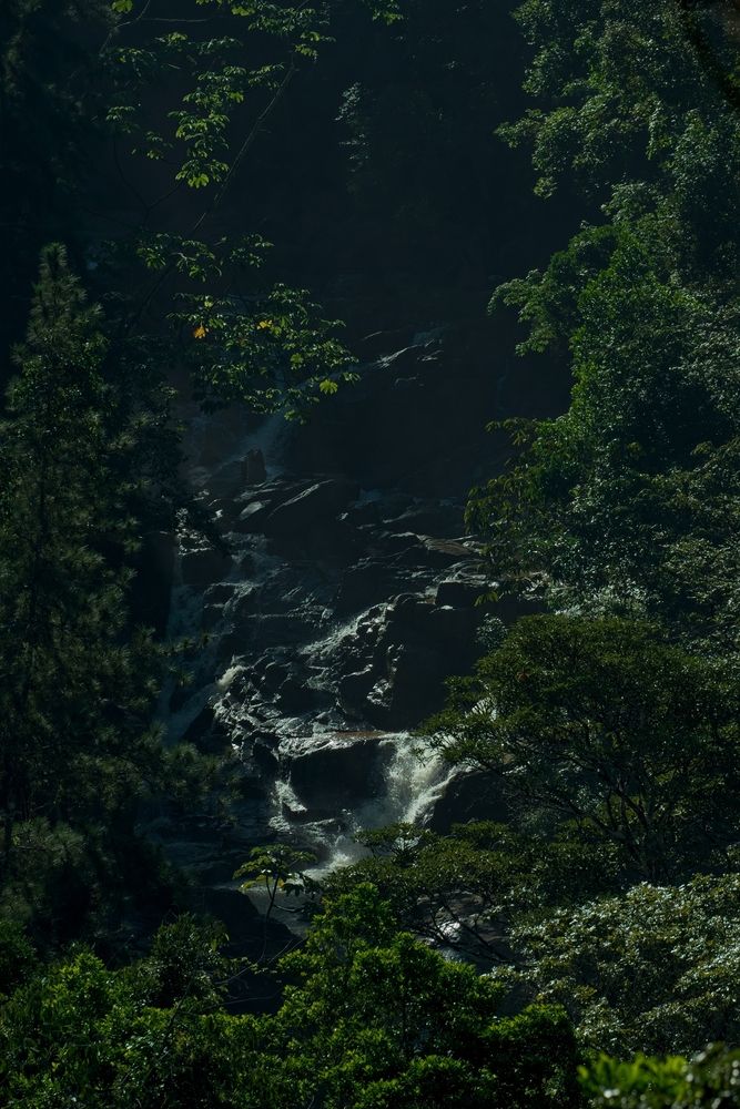 Photograph by Jerome Foster