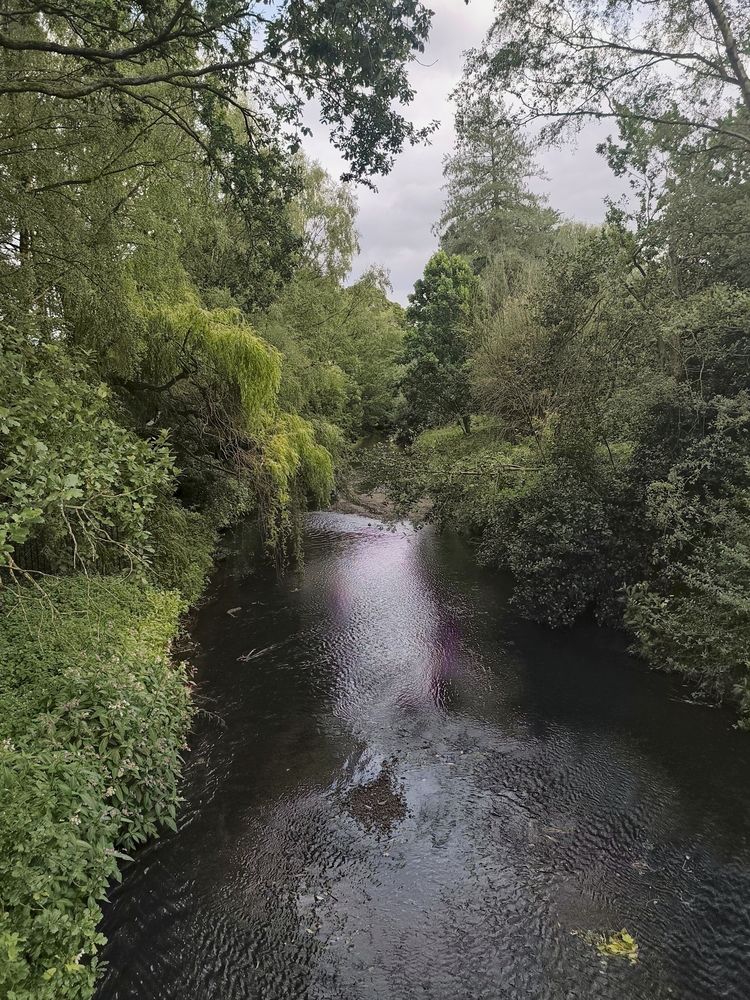 Photograph by Jerome Foster