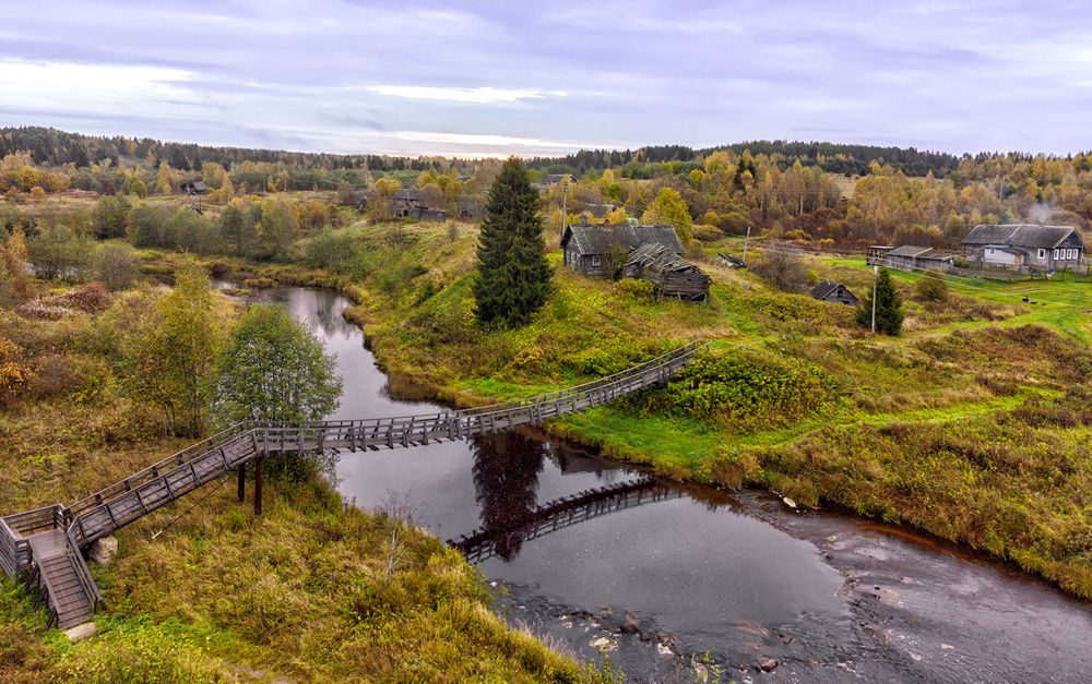 Фотография автора Лариса Дука