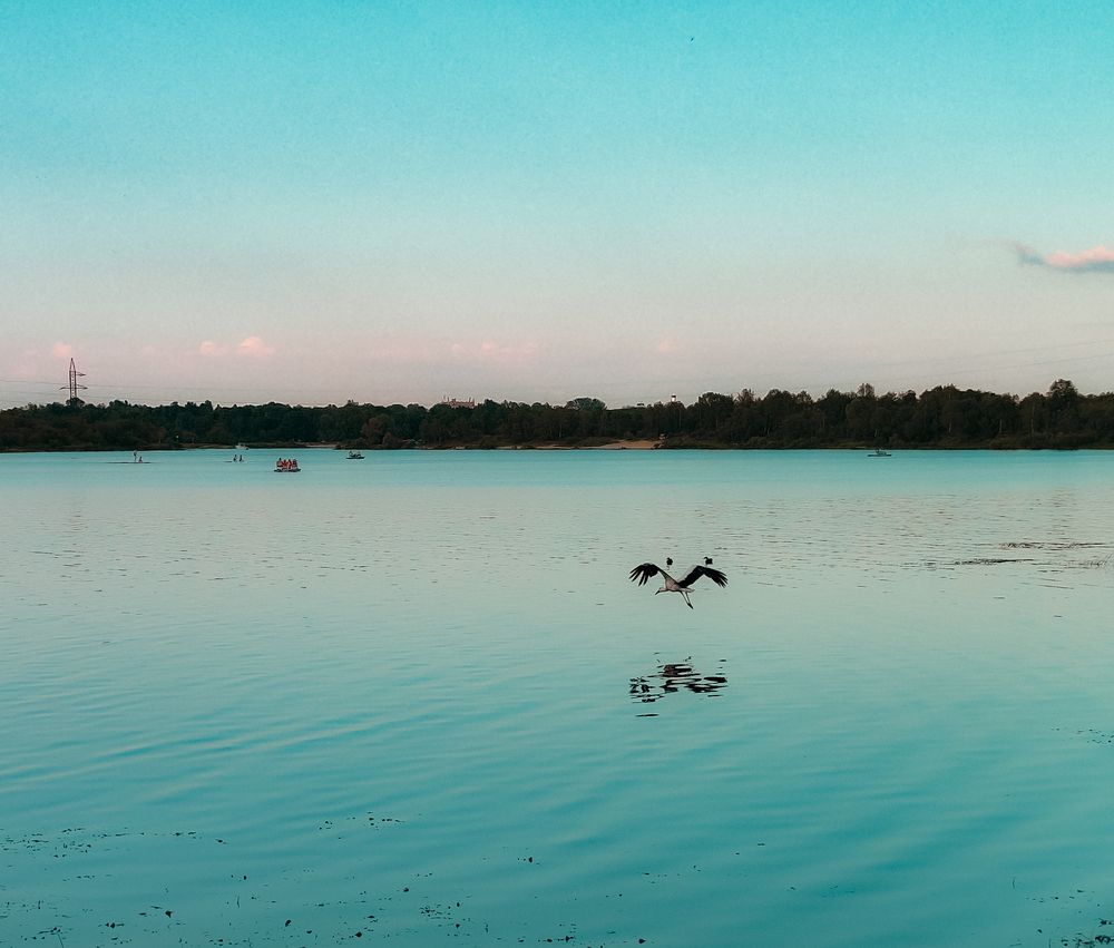 Фотография автора Вероника Летецкая