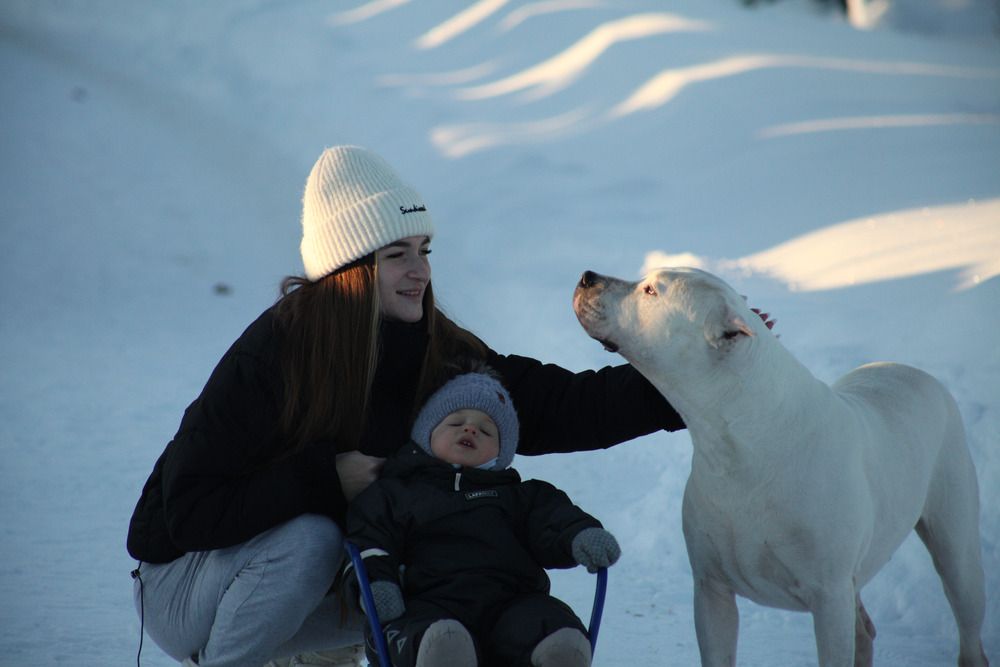 Photograph by Эвелина Майорова