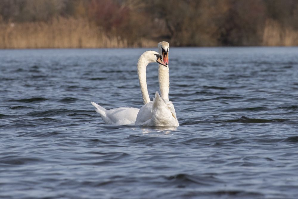 Фотография автора Мария Долбич