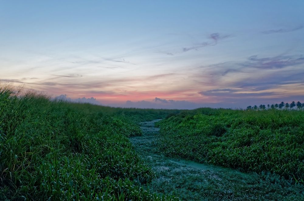 Photograph by Jerome Foster