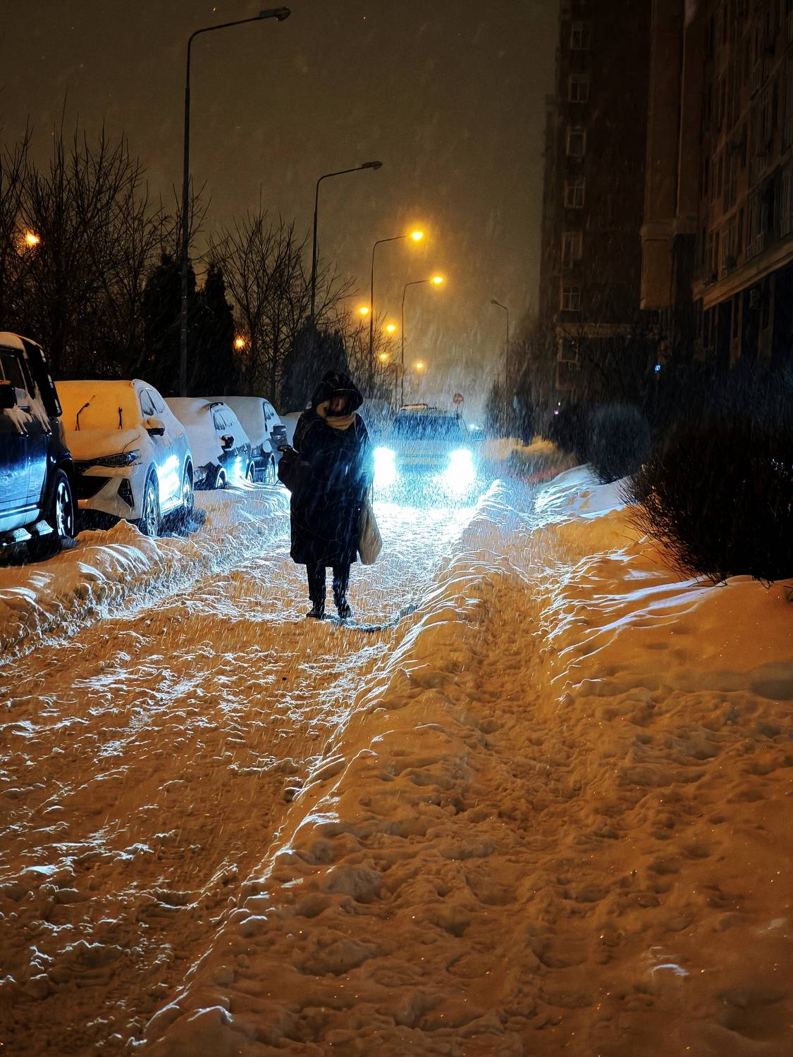 Photo #13370073