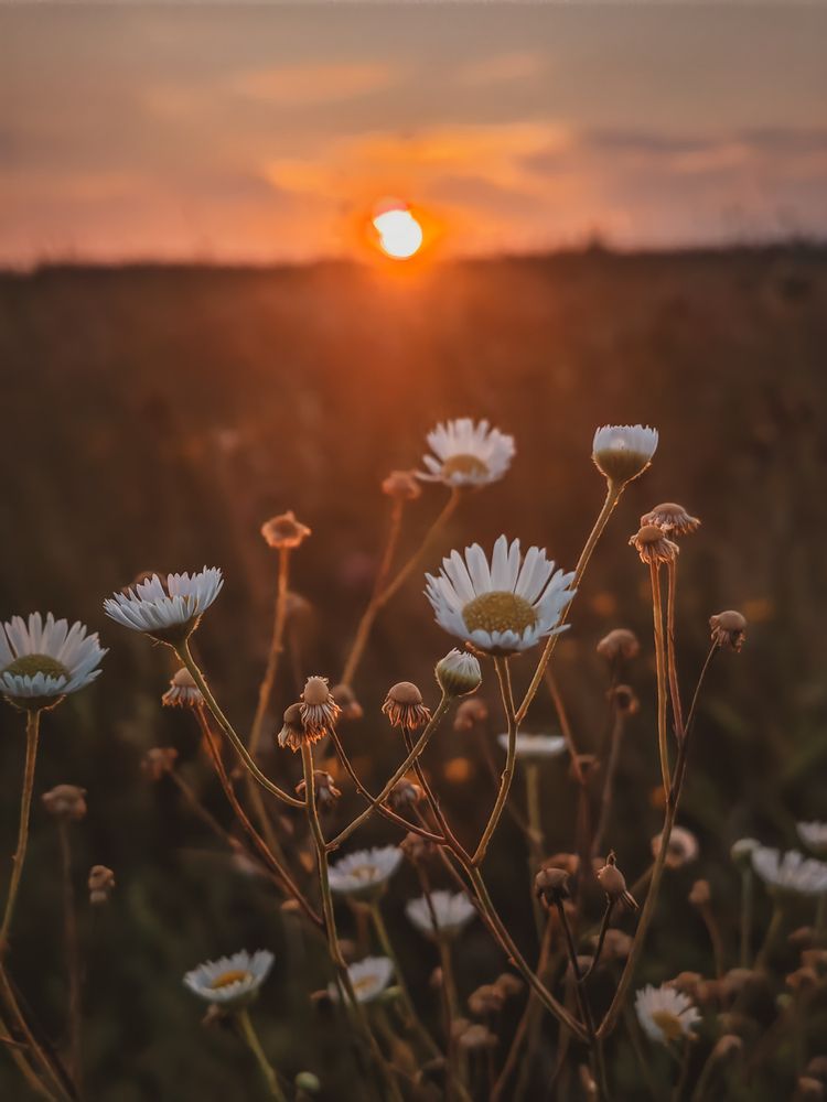 Photograph by Екатерина Смирнова