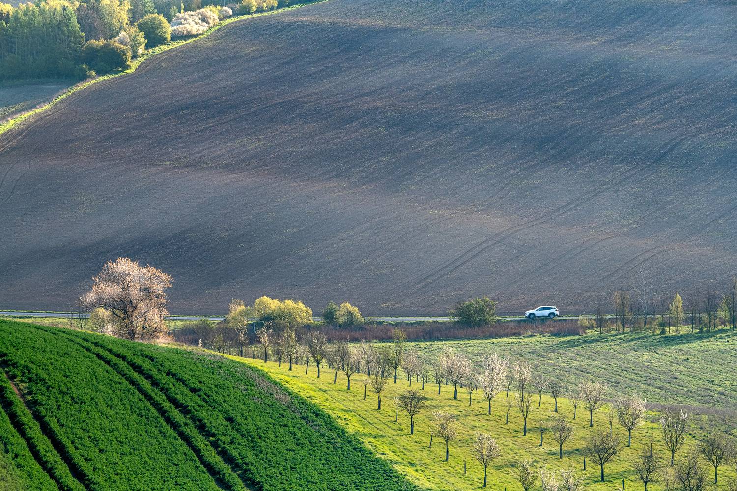 Фотография #13370080