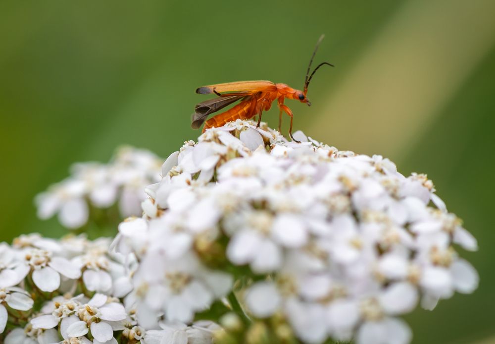 Фотография автора Agita Leimane