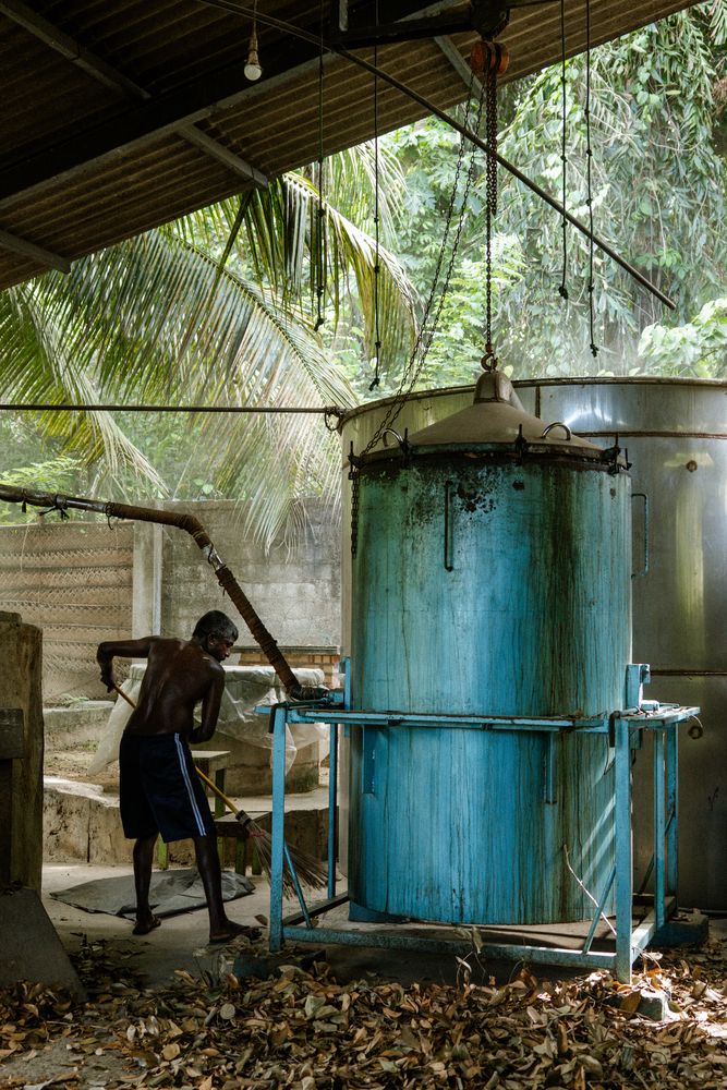 Photograph by ANASTASSIYA ARCHENKOVA