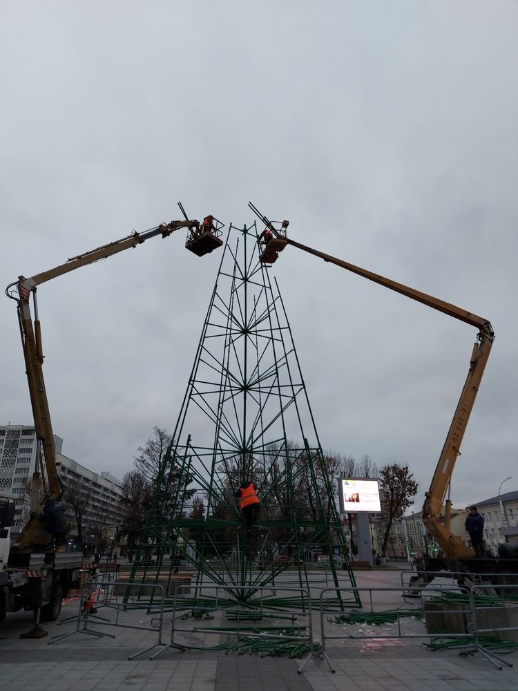 Рождение ели.