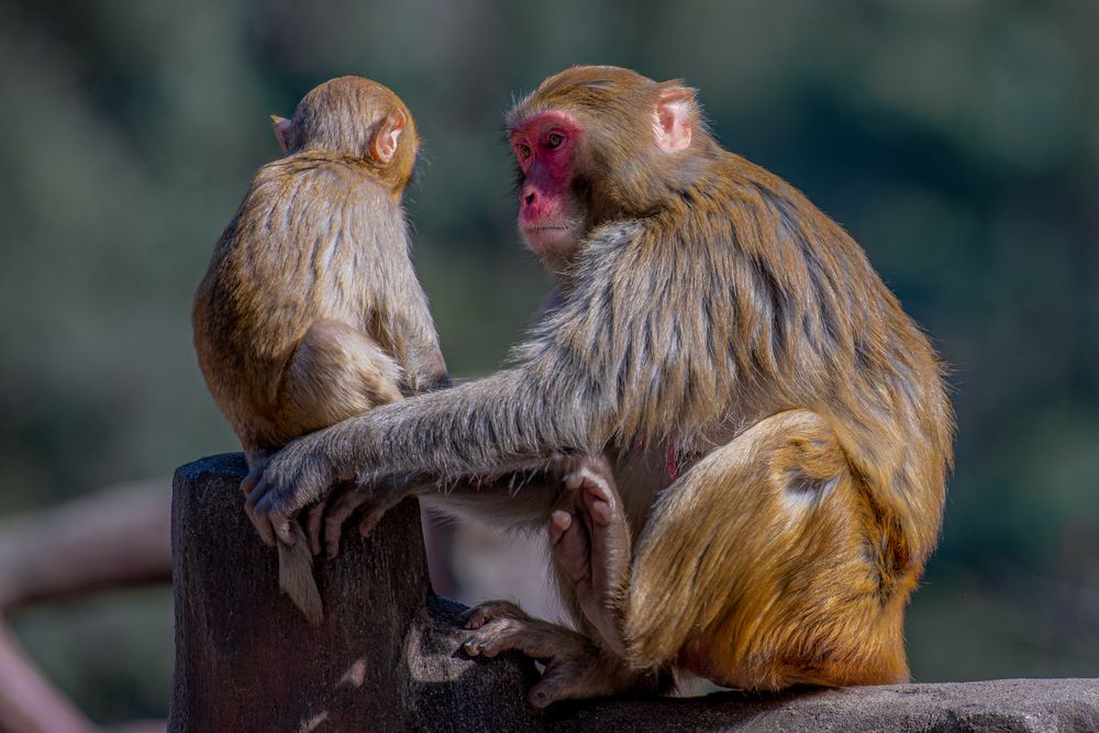 Photograph by Валерий Худынцев