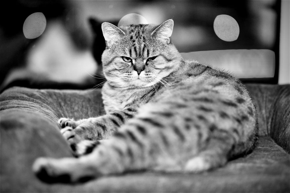 Photograph by Андрей Каёкин
