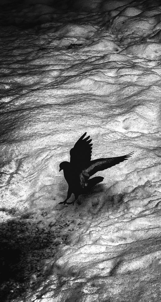 Photograph by Александра Куроедова