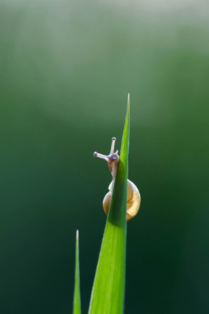Photograph by Виктория Быканова