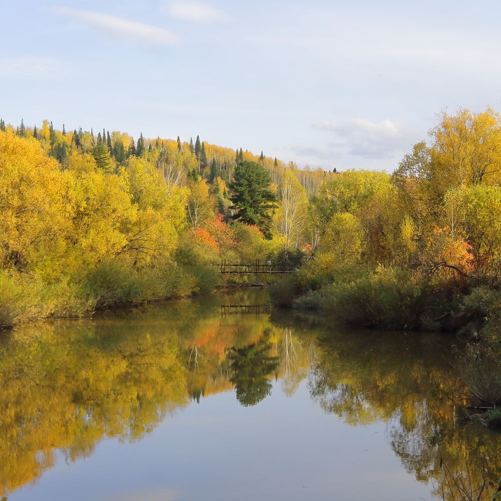 Мост, затерявшийся в осени
