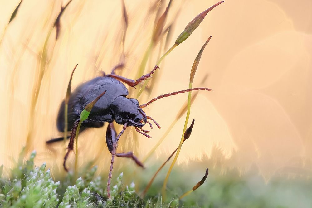 Photograph by Васильев Роман