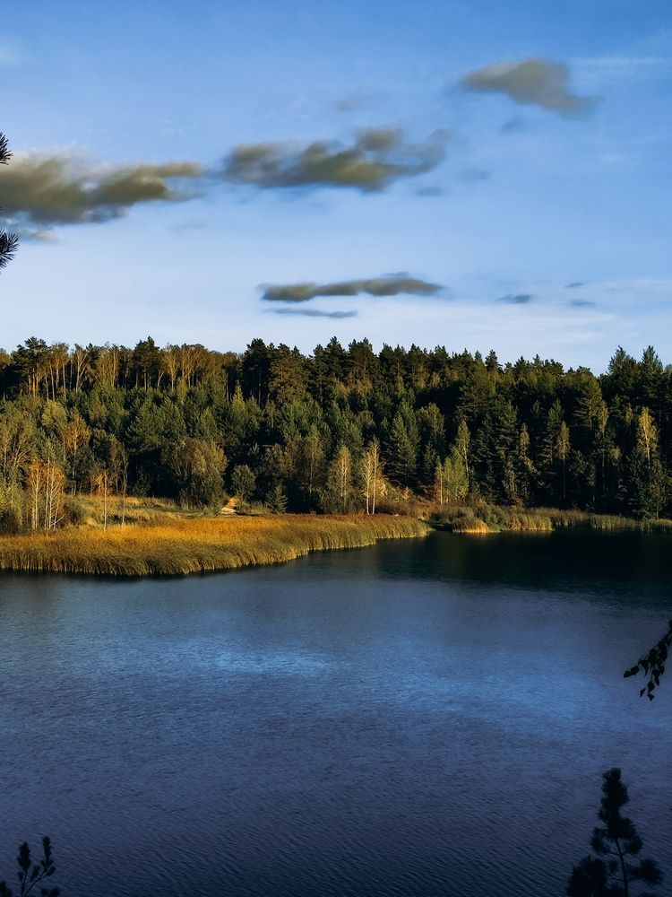 Фотография автора Алиса Исаева