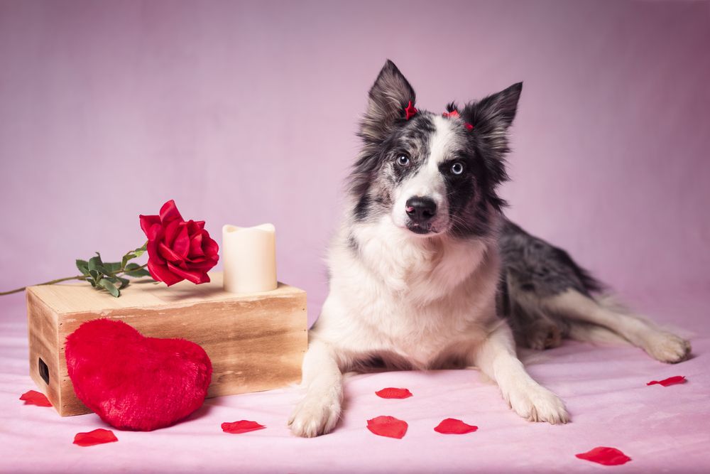 Photograph by Tamara Lebón Sánchez