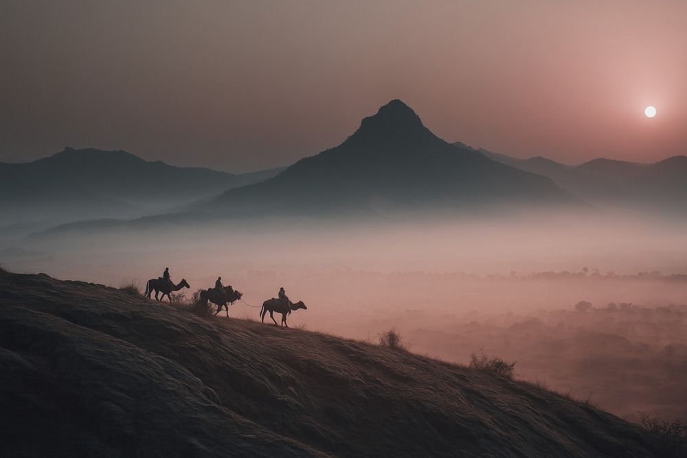 Фотография автора Максим Мельников