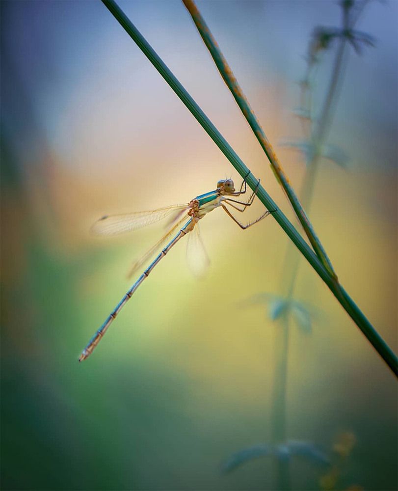 Photograph by Виктория Быканова