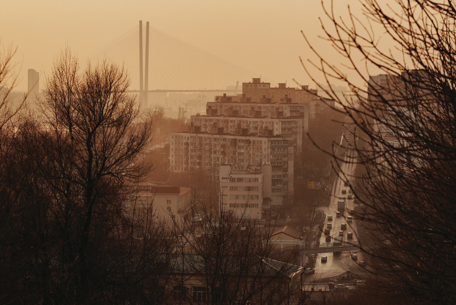 Photo #13370517